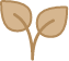 Pictogramme plante pommes de terre