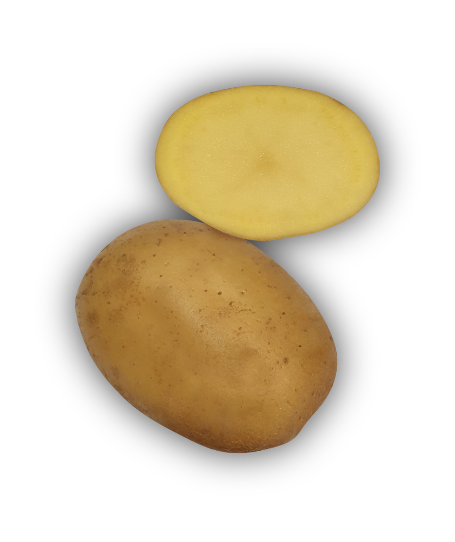 Pomme de terre Riviera - L'Armance