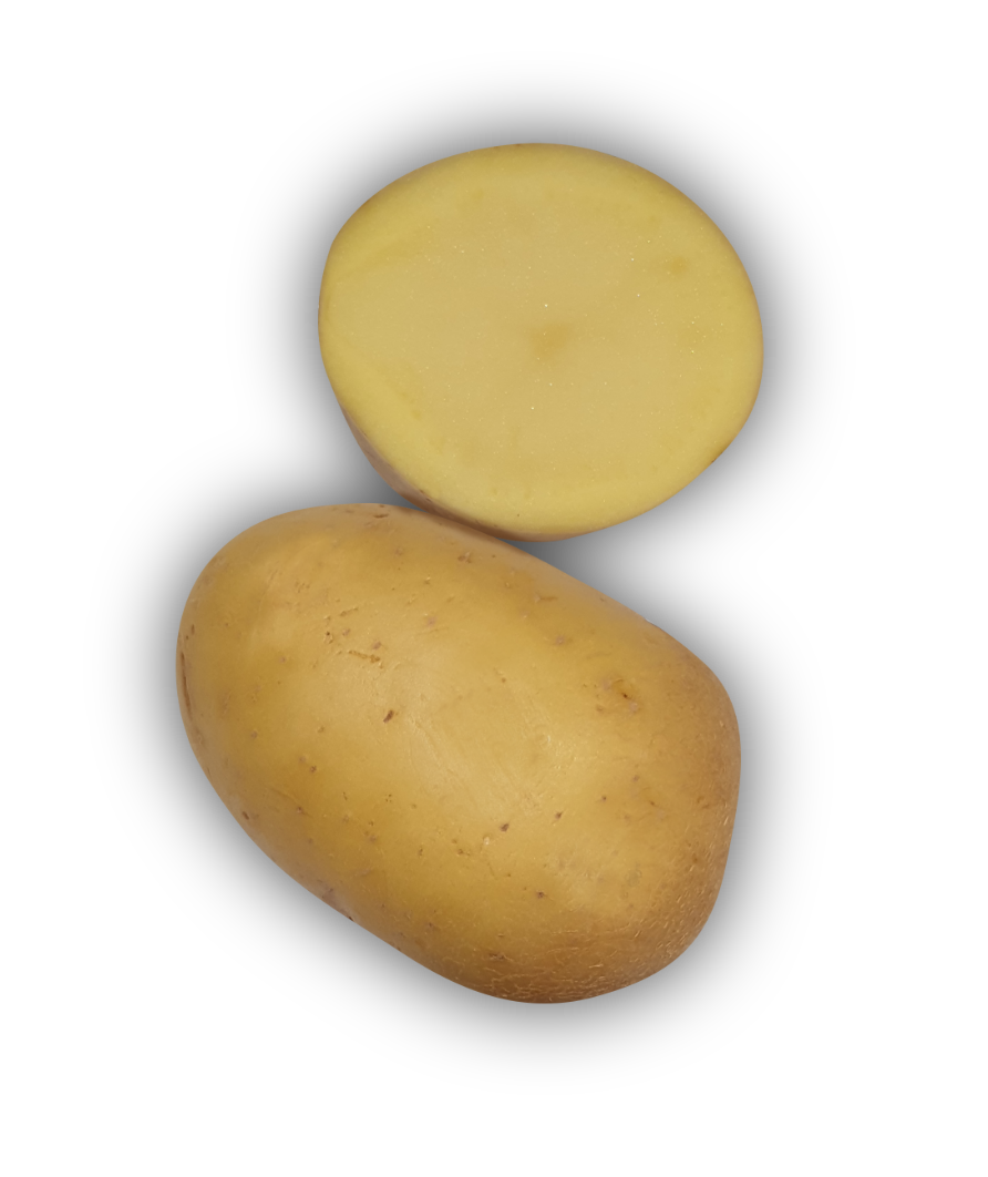 Pomme de terre Gourmandine - L'Armance